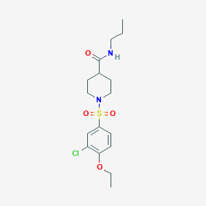 molecular formula C17H25ClN2O4S B5441596 1-[(3-chloro-4-ethoxyphenyl)sulfonyl]-N-propyl-4-piperidinecarboxamide 