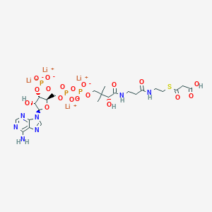 molecular formula C24H34Li4N7O19P3S B054452 丙二酰辅酶 A 四锂盐 CAS No. 116928-84-8
