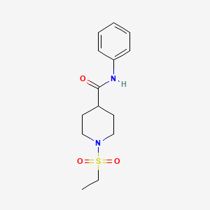 1-(ethylsulfonyl)-N-phenylpiperidine-4-carboxamide