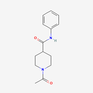 molecular formula C14H18N2O2 B5451536 1-acetyl-N-phenylpiperidine-4-carboxamide 