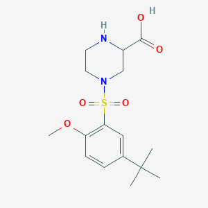 4-[(5-tert-butyl-2-methoxyphenyl)sulfonyl]piperazine-2-carboxylic acid