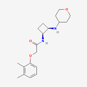 2-(2,3-dimethylphenoxy)-N-[(1S,2R)-2-(oxan-4-ylamino)cyclobutyl]acetamide