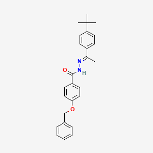 molecular formula C26H28N2O2 B5455030 4-(benzyloxy)-N'-[(1E)-1-(4-tert-butylphenyl)ethylidene]benzohydrazide 