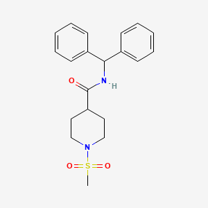 molecular formula C20H24N2O3S B5457173 N-(diphenylmethyl)-1-(methylsulfonyl)-4-piperidinecarboxamide 