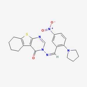 molecular formula C21H21N5O3S B5458070 3-{[5-nitro-2-(1-pyrrolidinyl)benzylidene]amino}-5,6,7,8-tetrahydro[1]benzothieno[2,3-d]pyrimidin-4(3H)-one 