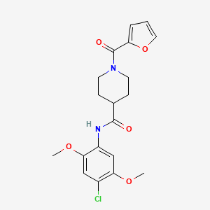 molecular formula C19H21ClN2O5 B5459698 N-(4-chloro-2,5-dimethoxyphenyl)-1-(2-furoyl)piperidine-4-carboxamide 