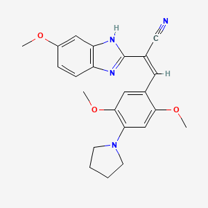 molecular formula C23H24N4O3 B5460514 3-[2,5-dimethoxy-4-(1-pyrrolidinyl)phenyl]-2-(5-methoxy-1H-benzimidazol-2-yl)acrylonitrile 