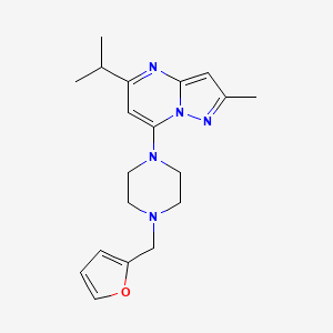 molecular formula C19H25N5O B5460835 7-[4-(2-furylmethyl)-1-piperazinyl]-5-isopropyl-2-methylpyrazolo[1,5-a]pyrimidine 