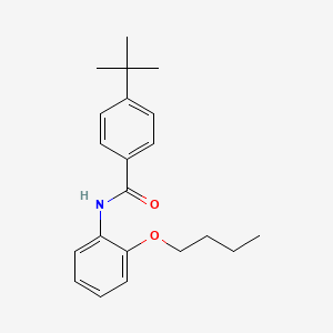 N-(2-butoxyphenyl)-4-tert-butylbenzamide