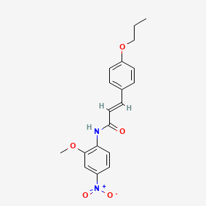 molecular formula C19H20N2O5 B5461663 N-(2-methoxy-4-nitrophenyl)-3-(4-propoxyphenyl)acrylamide 