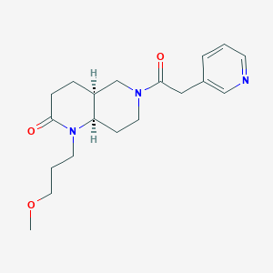 molecular formula C19H27N3O3 B5462036 (4aS*,8aR*)-1-(3-methoxypropyl)-6-(pyridin-3-ylacetyl)octahydro-1,6-naphthyridin-2(1H)-one 
