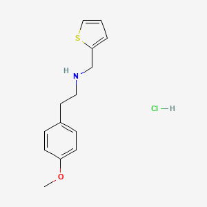 molecular formula C14H18ClNOS B5462579 [2-(4-methoxyphenyl)ethyl](2-thienylmethyl)amine hydrochloride 