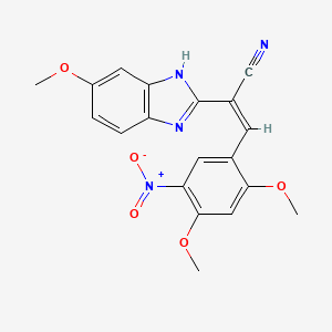 molecular formula C19H16N4O5 B5462810 3-(2,4-dimethoxy-5-nitrophenyl)-2-(5-methoxy-1H-benzimidazol-2-yl)acrylonitrile 