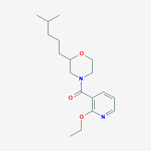 molecular formula C18H28N2O3 B5462891 4-[(2-ethoxy-3-pyridinyl)carbonyl]-2-(4-methylpentyl)morpholine 