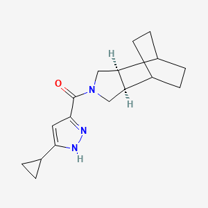 molecular formula C17H23N3O B5463399 (1R*,2R*,6S*,7S*)-4-[(3-cyclopropyl-1H-pyrazol-5-yl)carbonyl]-4-azatricyclo[5.2.2.0~2,6~]undecane 