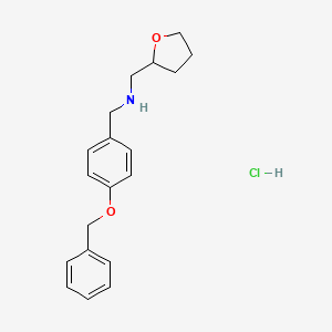 molecular formula C19H24ClNO2 B5466037 [4-(benzyloxy)benzyl](tetrahydro-2-furanylmethyl)amine hydrochloride 