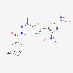 molecular formula C21H22N4O5S2 B5466168 N-[(Z)-1-[5-(3,5-dinitrothiophen-2-yl)thiophen-2-yl]ethylideneamino]adamantane-1-carboxamide 