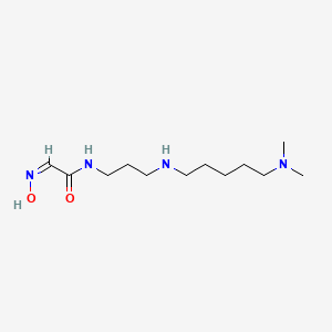 (2Z)-N-[3-[5-(dimethylamino)pentylamino]propyl]-2-hydroxyiminoacetamide