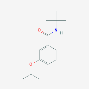 molecular formula C14H21NO2 B5467078 N-tert-butyl-3-propan-2-yloxybenzamide 