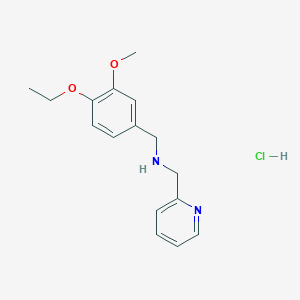 molecular formula C16H21ClN2O2 B5467906 (4-ethoxy-3-methoxybenzyl)(2-pyridinylmethyl)amine hydrochloride 