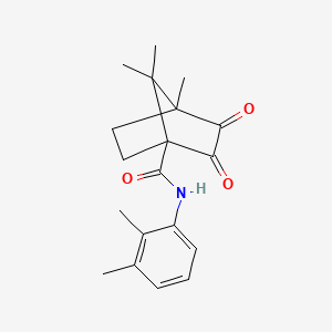 molecular formula C19H23NO3 B5468688 N-(2,3-dimethylphenyl)-4,7,7-trimethyl-2,3-dioxobicyclo[2.2.1]heptane-1-carboxamide 