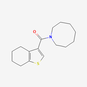 1-(4,5,6,7-tetrahydro-1-benzothien-3-ylcarbonyl)azocane