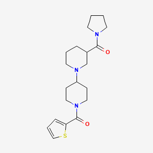 3-(pyrrolidin-1-ylcarbonyl)-1'-(2-thienylcarbonyl)-1,4'-bipiperidine