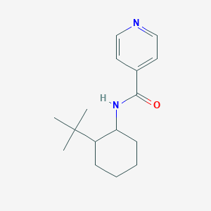 N-(2-tert-butylcyclohexyl)pyridine-4-carboxamide