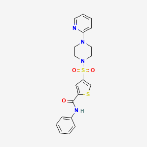 N-phenyl-4-(4-pyridin-2-ylpiperazin-1-yl)sulfonylthiophene-2-carboxamide