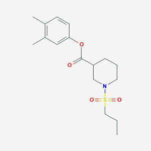 molecular formula C17H25NO4S B5473250 3,4-dimethylphenyl 1-(propylsulfonyl)-3-piperidinecarboxylate 