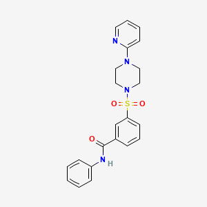 molecular formula C22H22N4O3S B5474920 N-phenyl-3-(4-pyridin-2-ylpiperazin-1-yl)sulfonylbenzamide 