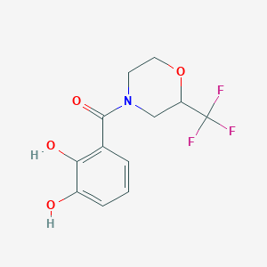 molecular formula C12H12F3NO4 B5474970 3-{[2-(trifluoromethyl)morpholin-4-yl]carbonyl}benzene-1,2-diol 