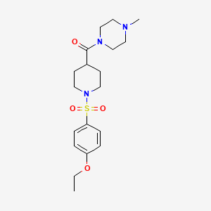 molecular formula C19H29N3O4S B5478099 1-[1-(4-ETHOXYBENZENESULFONYL)PIPERIDINE-4-CARBONYL]-4-METHYLPIPERAZINE 