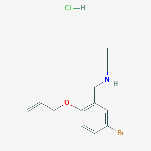 molecular formula C14H21BrClNO B5479920 N-[2-(allyloxy)-5-bromobenzyl]-2-methyl-2-propanamine hydrochloride 