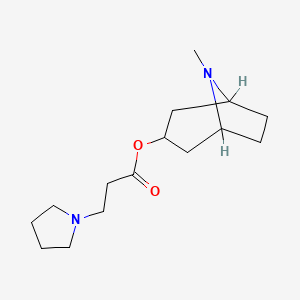 molecular formula C15H26N2O2 B5481748 8-methyl-8-azabicyclo[3.2.1]oct-3-yl 3-(1-pyrrolidinyl)propanoate 