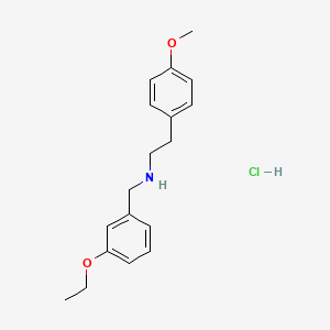 molecular formula C18H24ClNO2 B5481864 N-(3-ethoxybenzyl)-2-(4-methoxyphenyl)ethanamine hydrochloride 