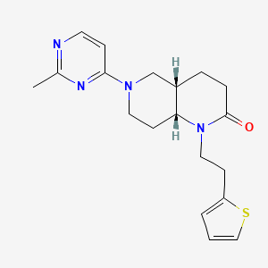 molecular formula C19H24N4OS B5483428 (4aS*,8aR*)-6-(2-methylpyrimidin-4-yl)-1-[2-(2-thienyl)ethyl]octahydro-1,6-naphthyridin-2(1H)-one 