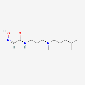 molecular formula C12H25N3O2 B5484861 2-(hydroxyimino)-N-{3-[methyl(4-methylpentyl)amino]propyl}acetamide 