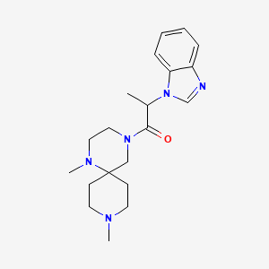 molecular formula C20H29N5O B5488377 4-[2-(1H-benzimidazol-1-yl)propanoyl]-1,9-dimethyl-1,4,9-triazaspiro[5.5]undecane 