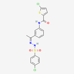 molecular formula C19H15Cl2N3O3S2 B5488723 5-chloro-N-(3-{N-[(4-chlorophenyl)sulfonyl]ethanehydrazonoyl}phenyl)-2-thiophenecarboxamide 