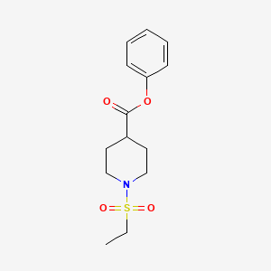 molecular formula C14H19NO4S B5489175 phenyl 1-(ethylsulfonyl)-4-piperidinecarboxylate 