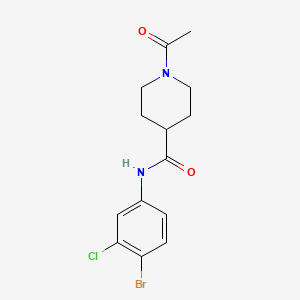 molecular formula C14H16BrClN2O2 B5489523 1-acetyl-N-(4-bromo-3-chlorophenyl)-4-piperidinecarboxamide 