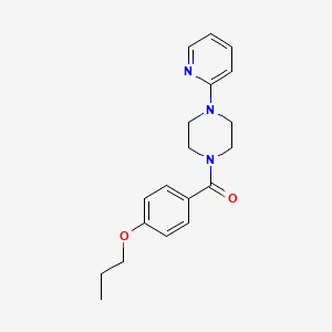 molecular formula C19H23N3O2 B5491233 1-(4-propoxybenzoyl)-4-(2-pyridinyl)piperazine 