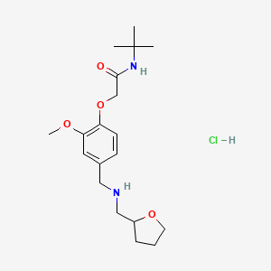 molecular formula C19H31ClN2O4 B5493671 N-(tert-butyl)-2-(2-methoxy-4-{[(tetrahydro-2-furanylmethyl)amino]methyl}phenoxy)acetamide hydrochloride 