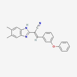 molecular formula C24H19N3O B5495508 2-(5,6-dimethyl-1H-benzimidazol-2-yl)-3-(3-phenoxyphenyl)acrylonitrile 