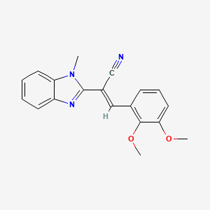 molecular formula C19H17N3O2 B5495514 3-(2,3-dimethoxyphenyl)-2-(1-methyl-1H-benzimidazol-2-yl)acrylonitrile 