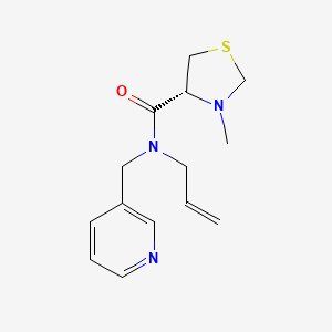molecular formula C14H19N3OS B5495632 (4R)-N-allyl-3-methyl-N-(pyridin-3-ylmethyl)-1,3-thiazolidine-4-carboxamide 