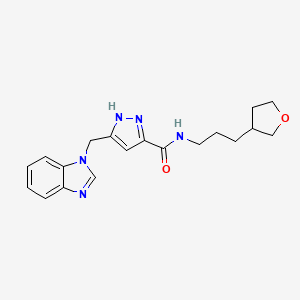 molecular formula C19H23N5O2 B5498547 5-(1H-benzimidazol-1-ylmethyl)-N-[3-(tetrahydrofuran-3-yl)propyl]-1H-pyrazole-3-carboxamide 