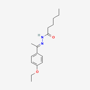 molecular formula C16H24N2O2 B5499355 N'-[1-(4-ethoxyphenyl)ethylidene]hexanohydrazide 