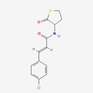 molecular formula C13H12ClNO2S B5499572 3-(4-chlorophenyl)-N-(2-oxotetrahydro-3-thienyl)acrylamide 